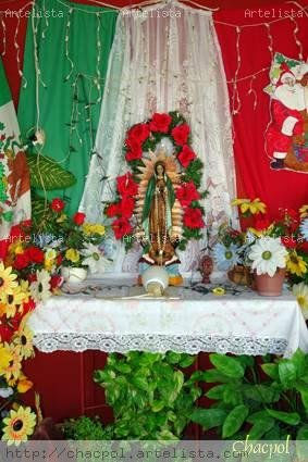 Guadalupe 027
