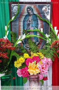 Guadalupe 026