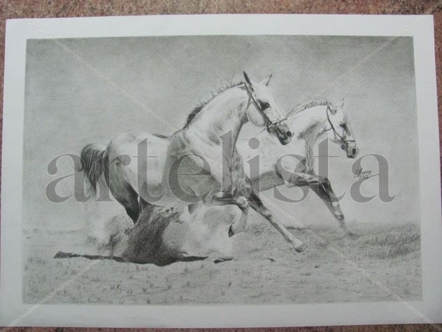 Caballos corriendo