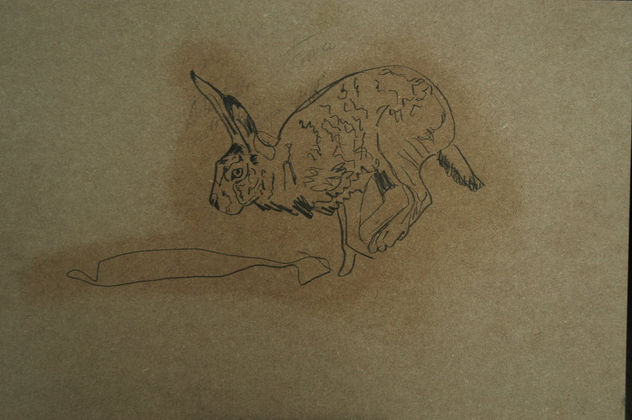 dibujo a grafito