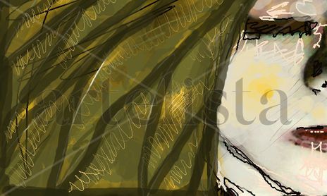 Obra / Work