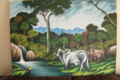 Ganado de costa rica.