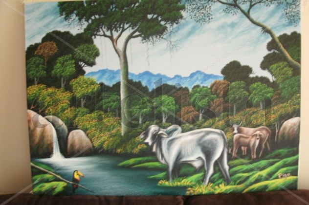 GANADO DE COSTA RICA.