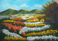 CAMPO FLORIDO 257