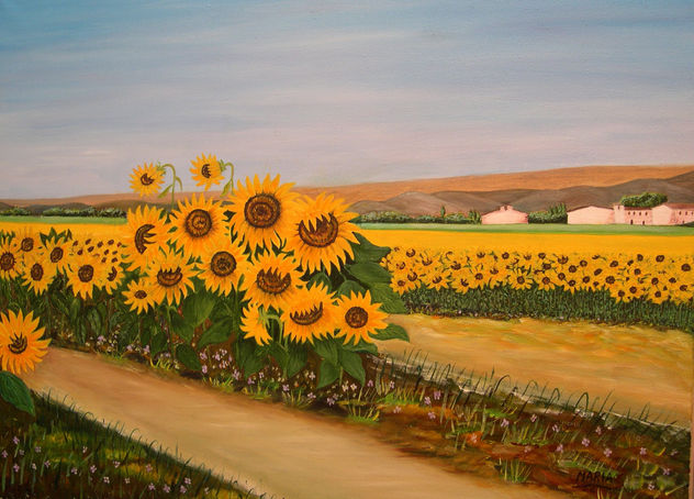 Campo de girasoles