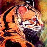 fauna salvaje thumbnail 1