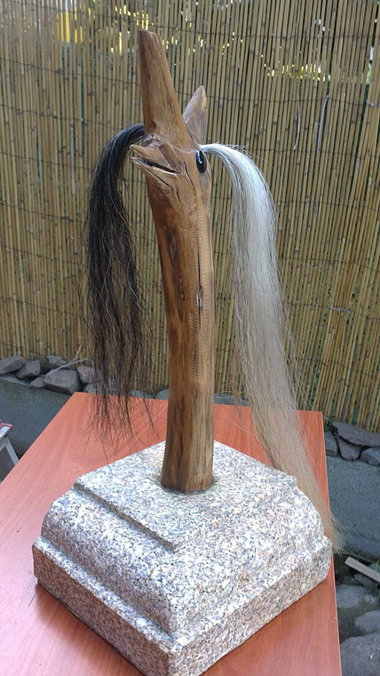 Pelogallo