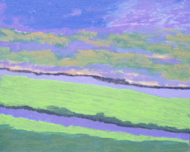 campos de lavanda