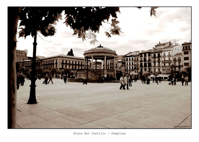 Plaza del Castillo - Pamplona Naturaleza Color (Digital)