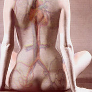 De la serie paisajes del cuerpo