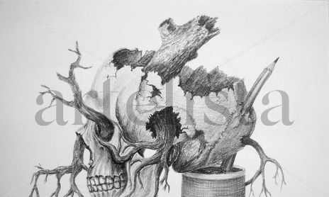 DIBUJOS