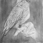 DIBUJOS thumbnail 2