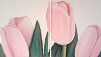 Tulipanes 01