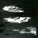 Segui. Artworks thumbnail 2