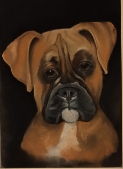 Boxer