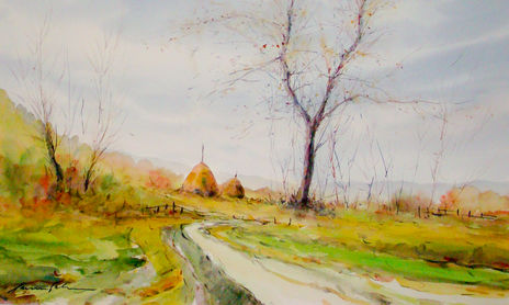 Paisajes