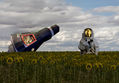 Aterrizaje en un campo de girasoles