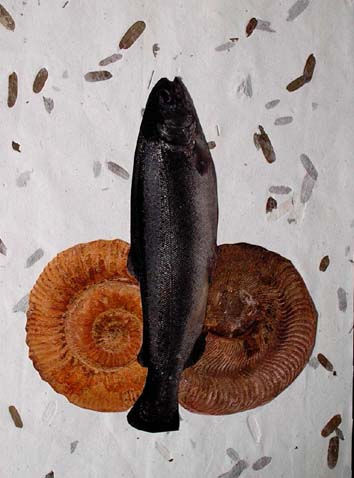 Fósiles