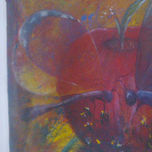 mariposas thumbnail 1