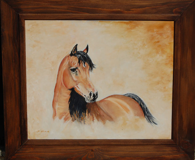 caballo