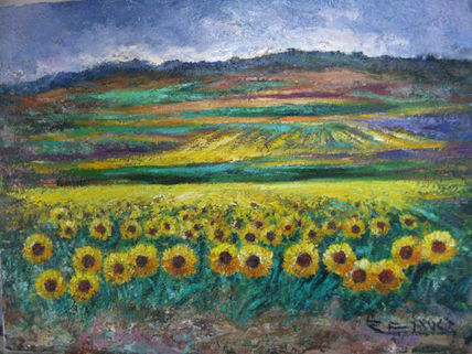 Girasoles