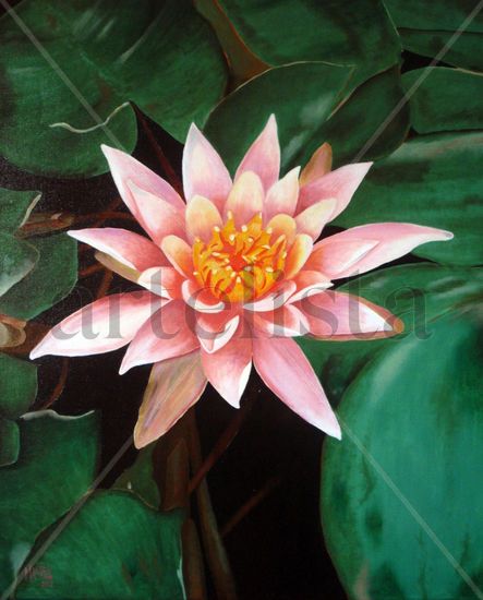 Nenúfares jardín Lancaster Costa Rica Oil Canvas Floral Painting