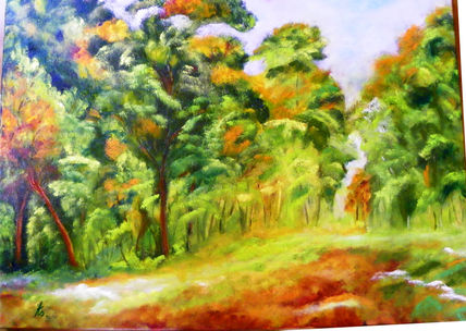 Costa Rica (Pura Vida)