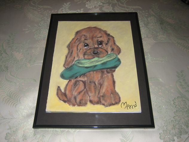 ZAPATILLA Y PERRO