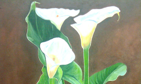 flores