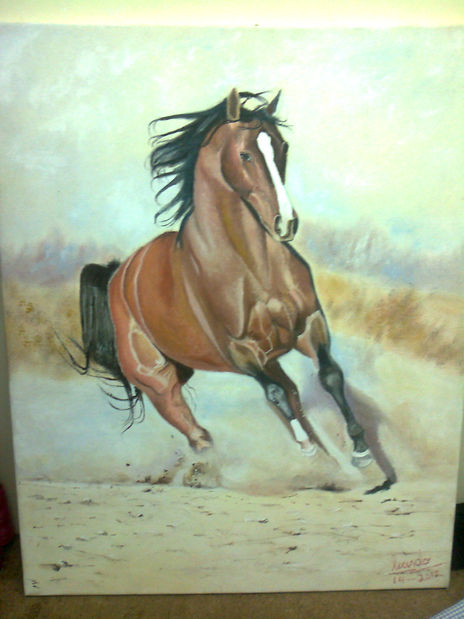Caballo Velos