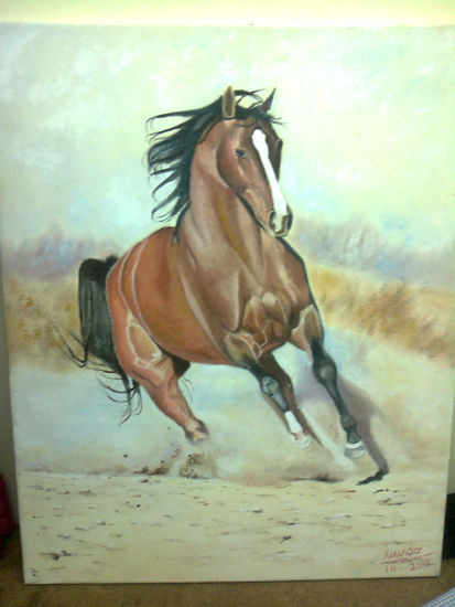 Caballo Velos Oil Canvas Animals