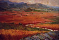 PANORAMICA DE OSONA