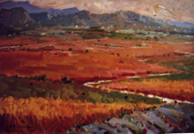 PANORAMICA DE OSONA