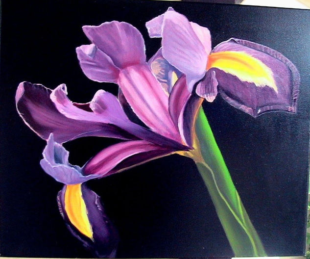 Iris Óleo Lienzo Floral