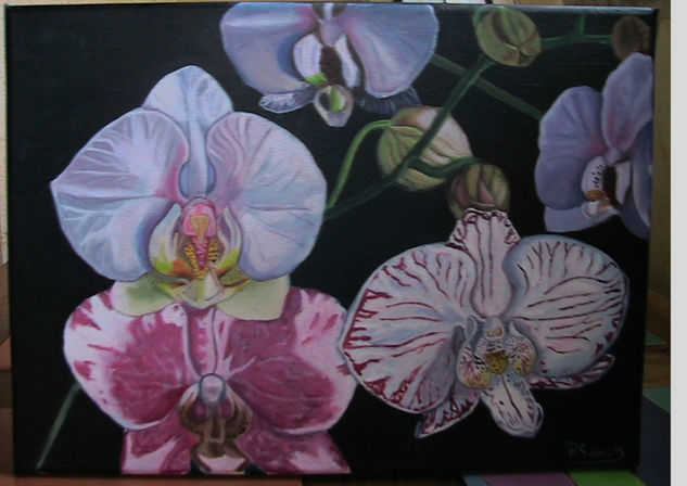 Orquideas Oil Canvas Floral Painting