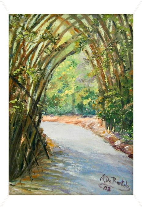 Tunel de bambu