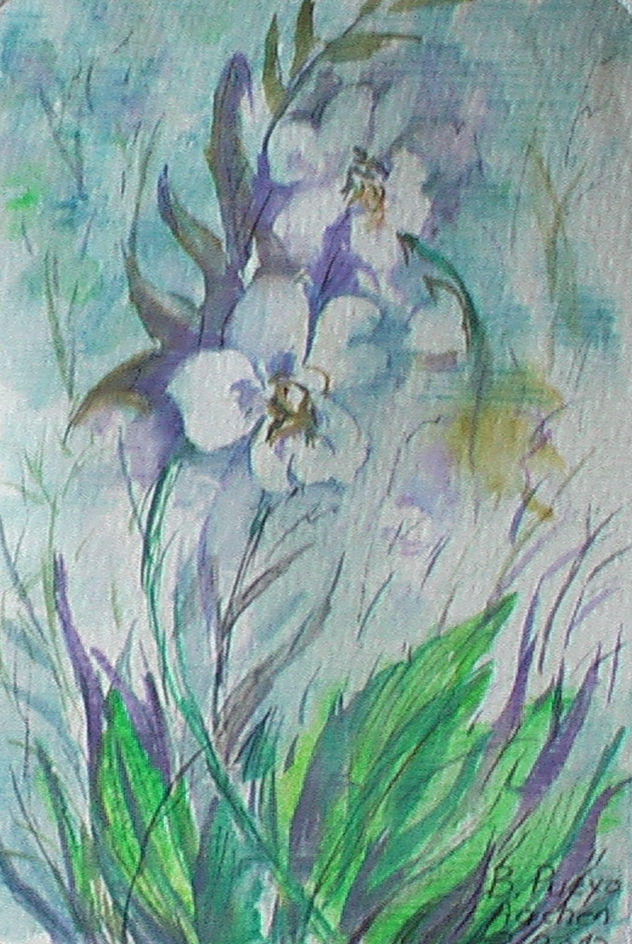 flores del campo