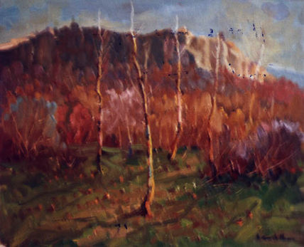 Paisaje de cabrera