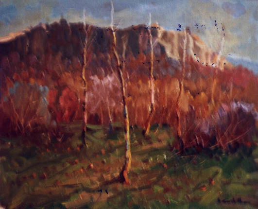 PAISAJE DE CABRERA Oil