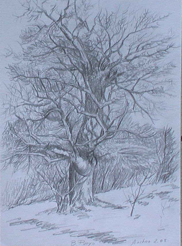 Aquel viejo árbol