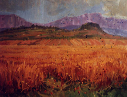 Campo de trigo