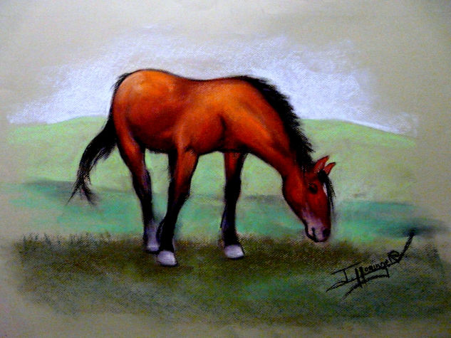 Caballo marrón pastando Pastel Papel Animales