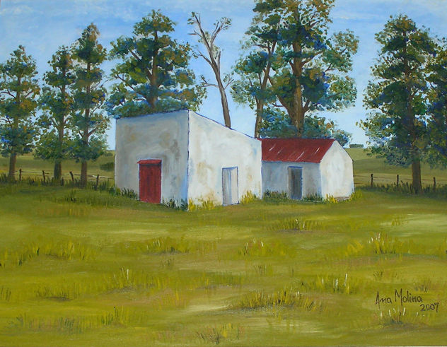 SERIE CAMPOS 2007 II