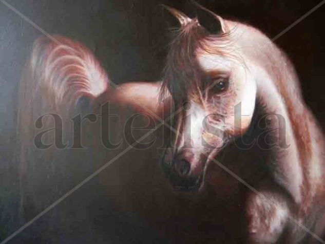 Claroscuro Oil Canvas Animals