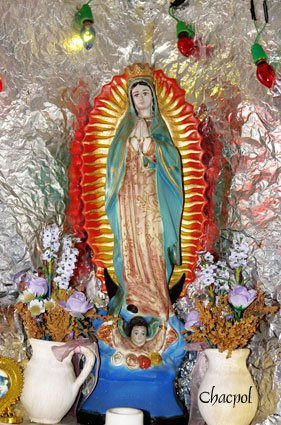 Guadalupe 018