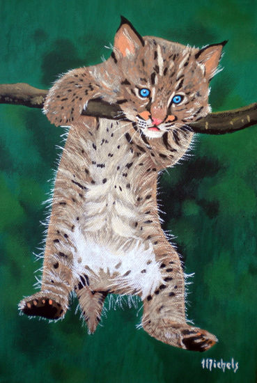 Bebé lince,Luchs-Baby,bébé lynx Acrylic Canvas Animals