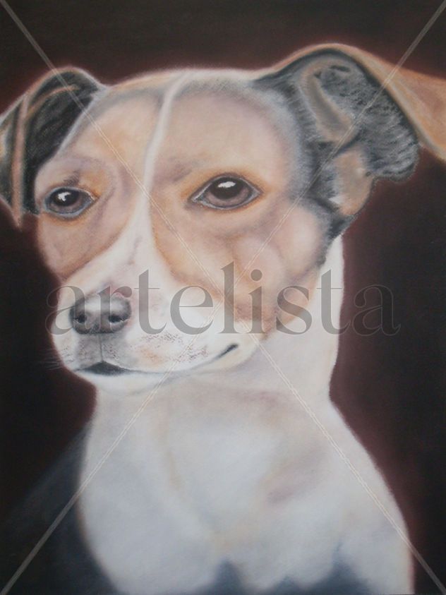 Dog Portrait