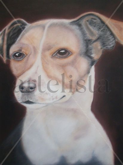 Dog Portrait Mixed Media