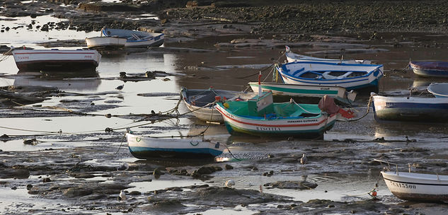 barcazas en la caleta III Nature Color (Digital)