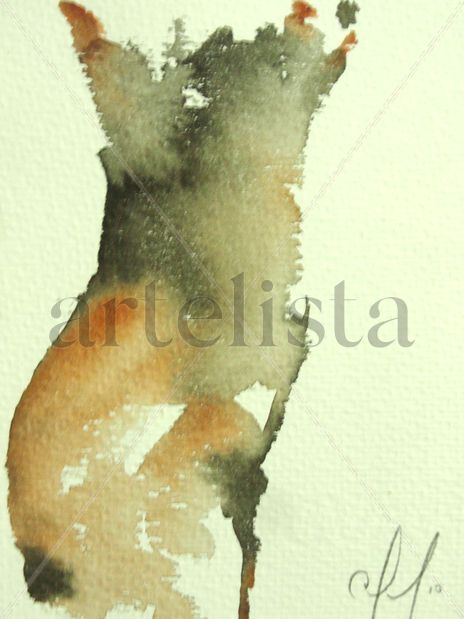 Torso